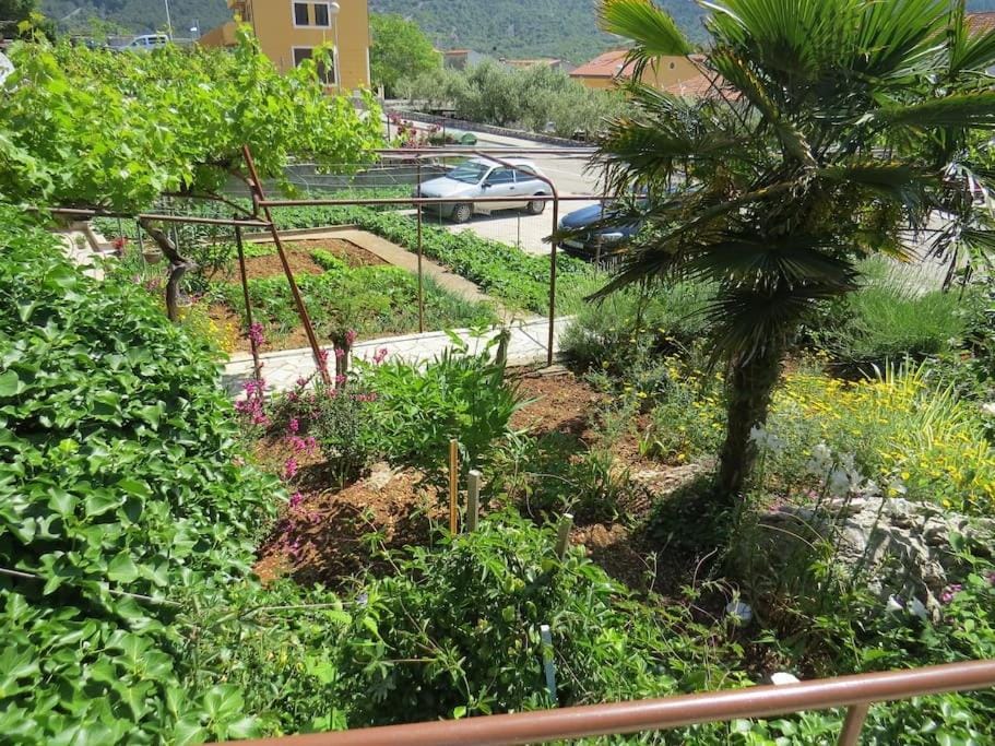 Apartment with 2 terrace Apartment in Cres