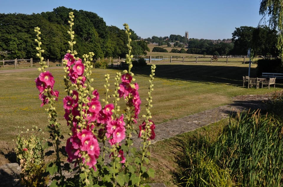 Garden, Garden view