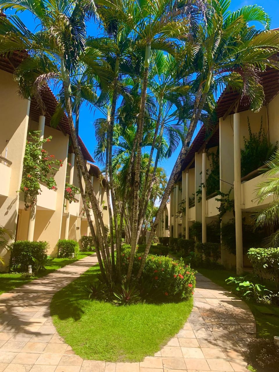 Solar pipa apartments Apartment in Pipa Beach