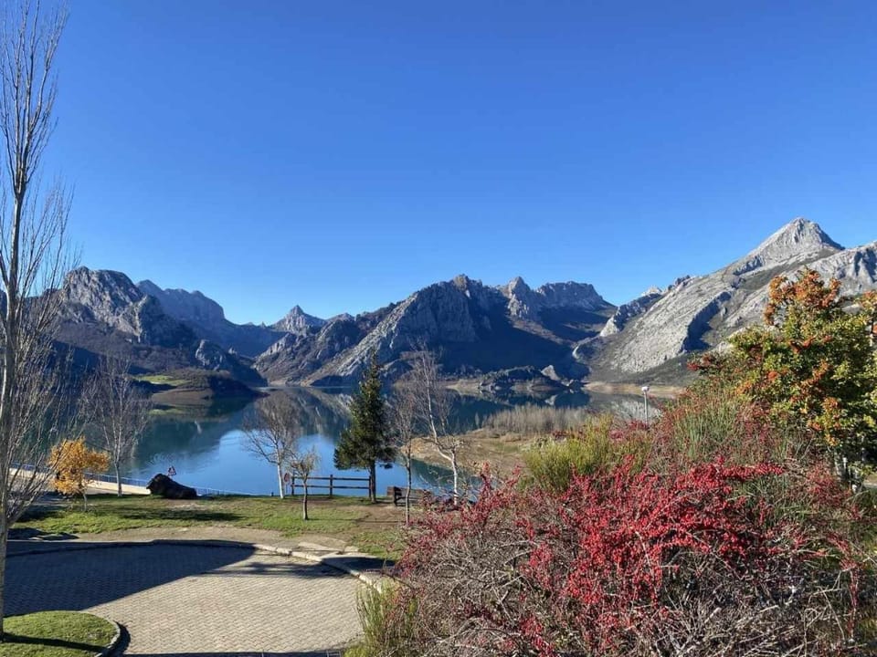 Lake view