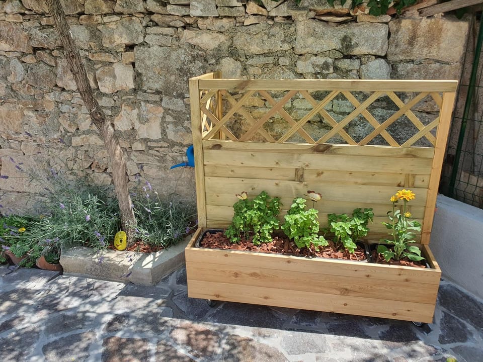 Kuća za odmor Žinžula House in Medulin