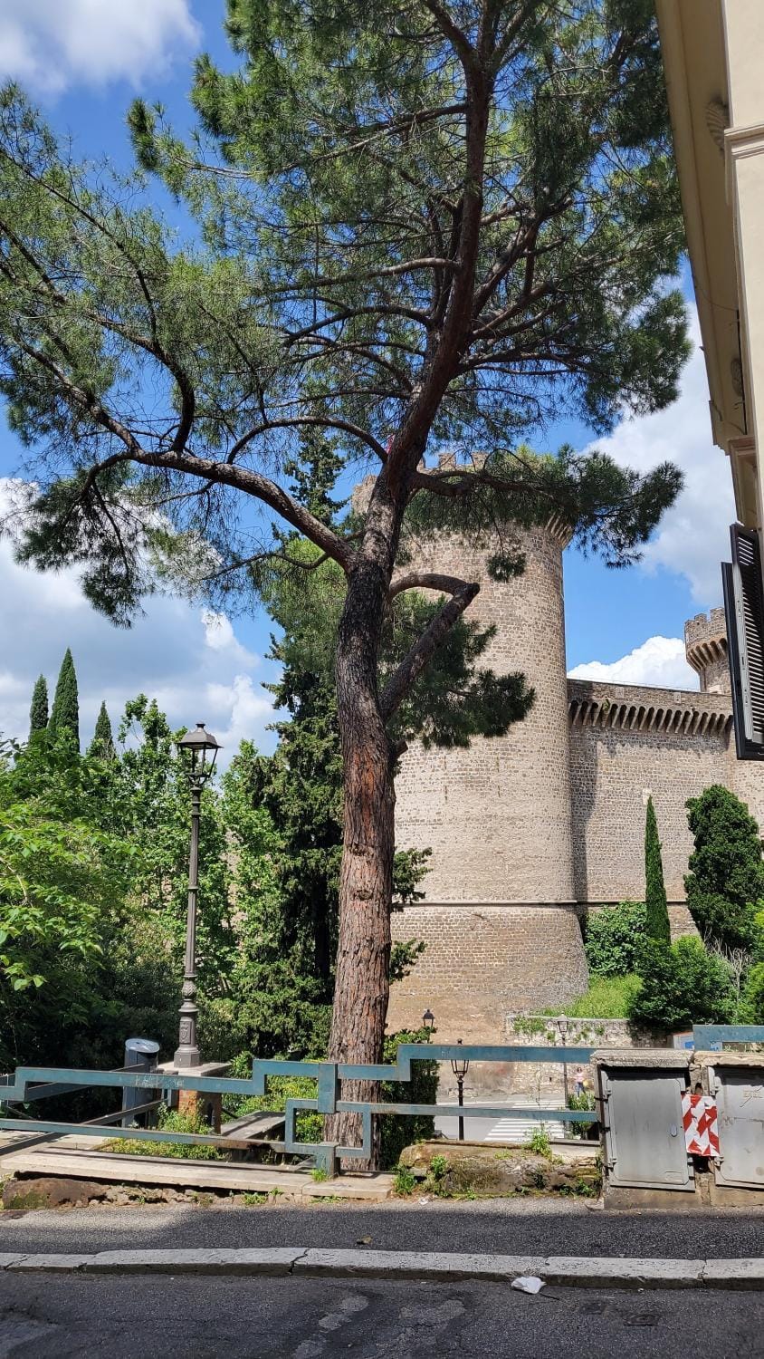 Domus Mia Apartment in Tivoli