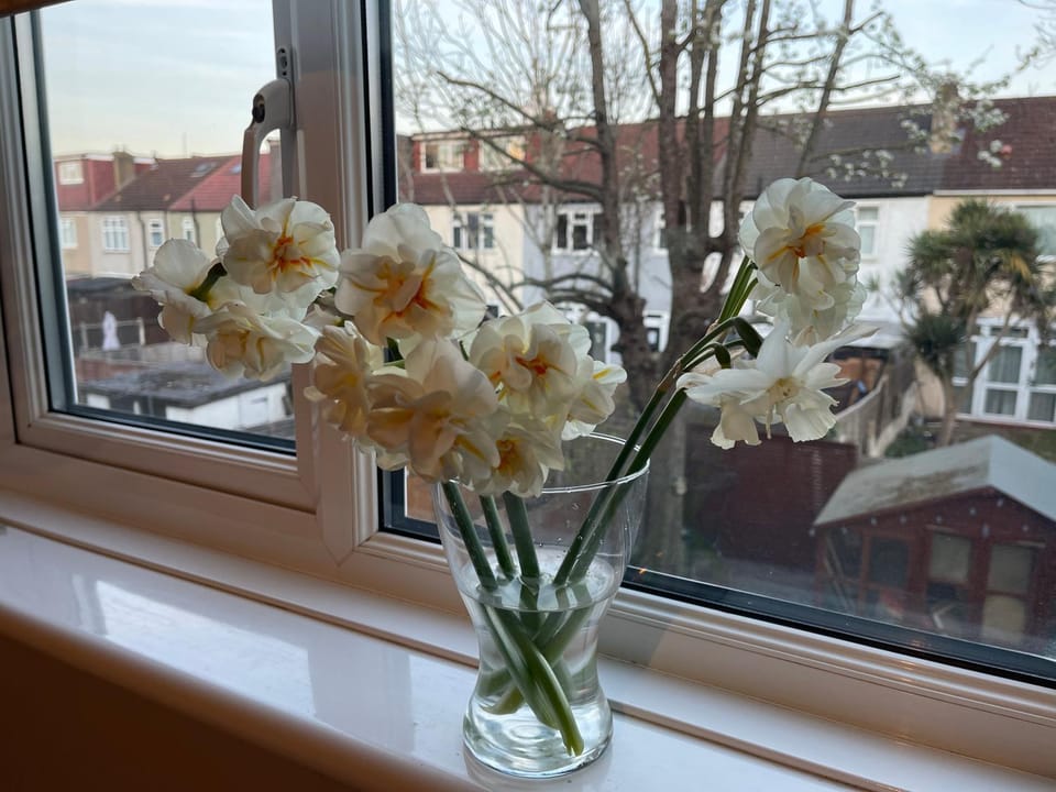 Day, Garden view