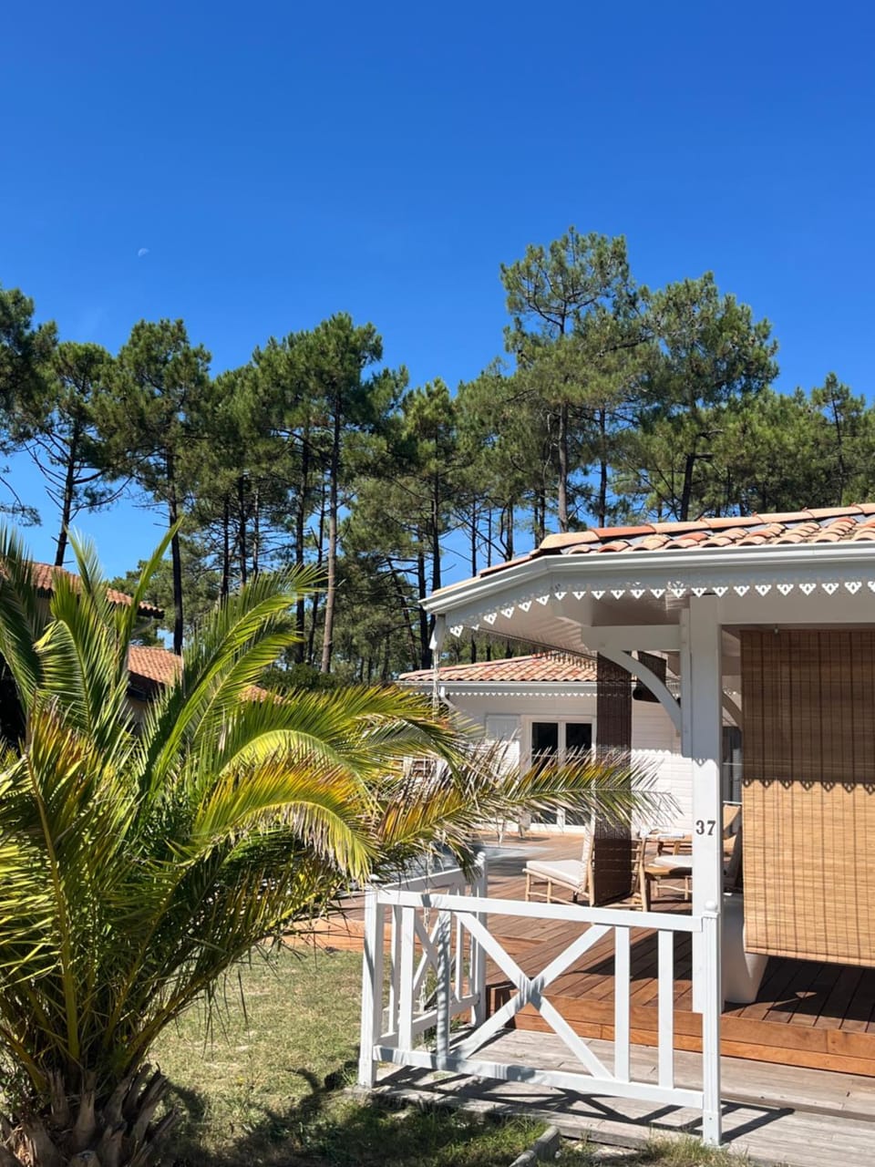 LA VILLA DES PINS Villa in Lacanau