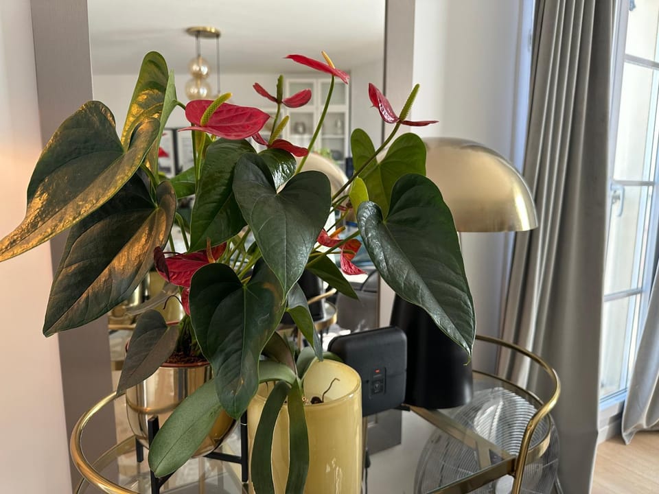 Living room, Decorative detail, Decorative detail