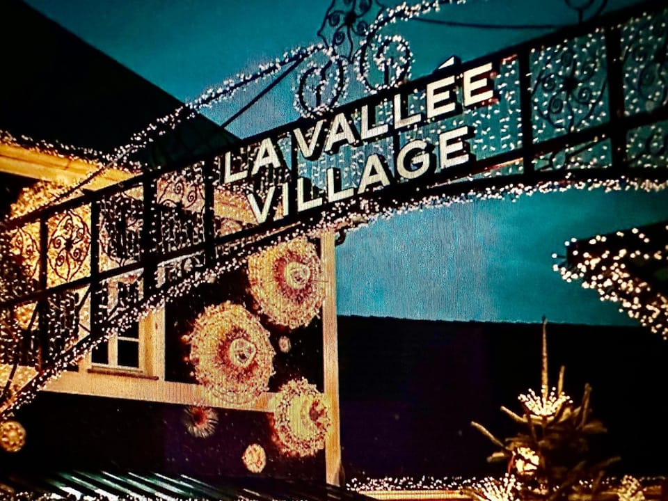 Nearby landmark, Neighbourhood, Activities, Landmark view, Shopping Area
