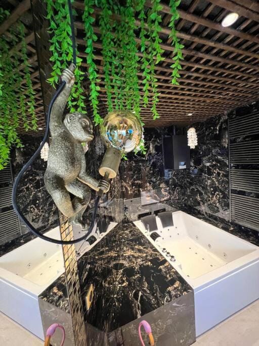 Esprit AFRICA, SPA et SAUNA de luxe Apartment in Mulhouse