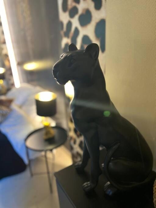 Esprit AFRICA, SPA et SAUNA de luxe Apartment in Mulhouse