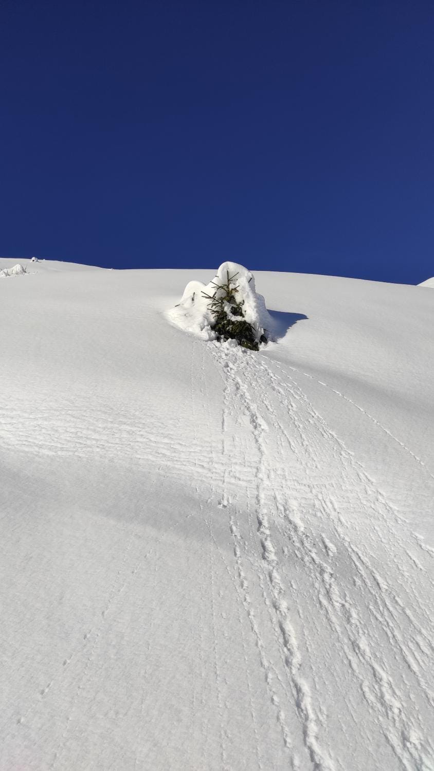 Day, Natural landscape, Winter