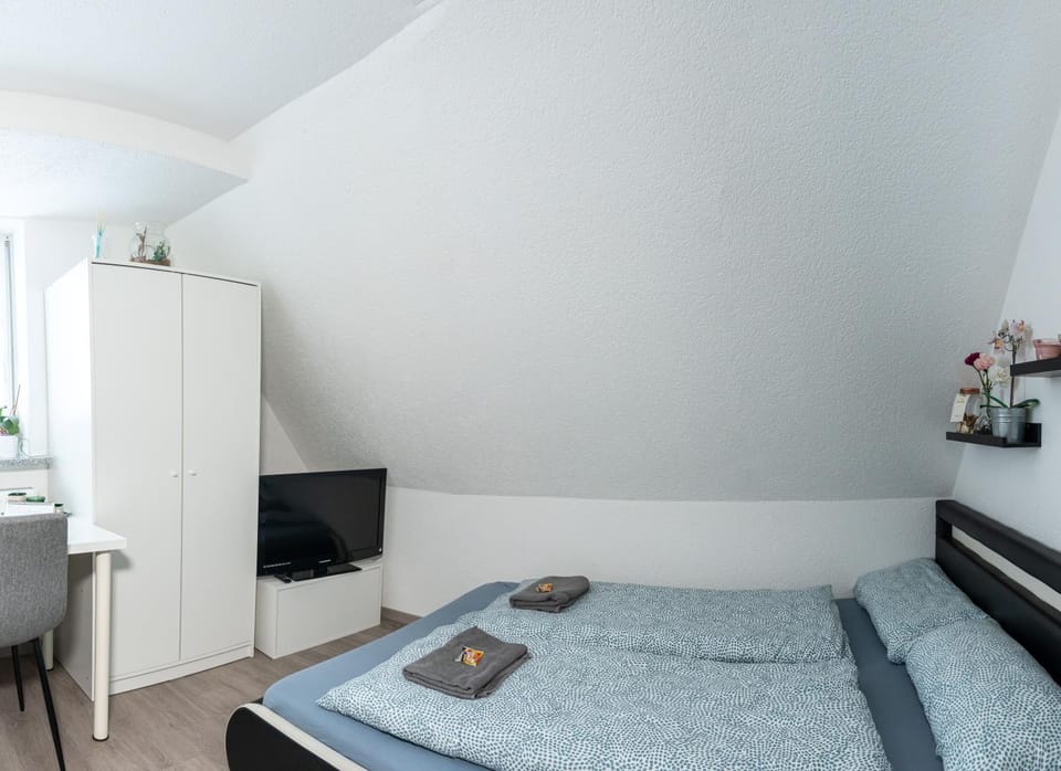 Bed, TV and multimedia, Photo of the whole room, hair dresser, towels, wardrobe