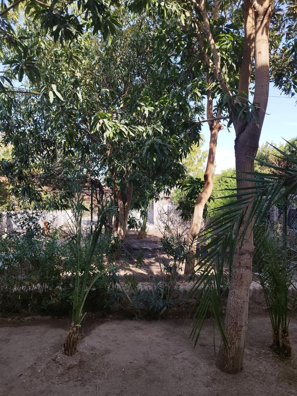 Day, Garden, Garden view