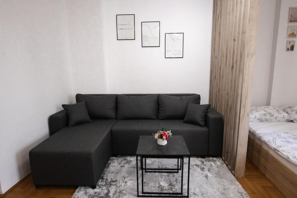 Bed, Living room, Photo of the whole room, Seating area, Bedroom