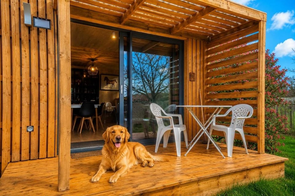 Patio, Pets
