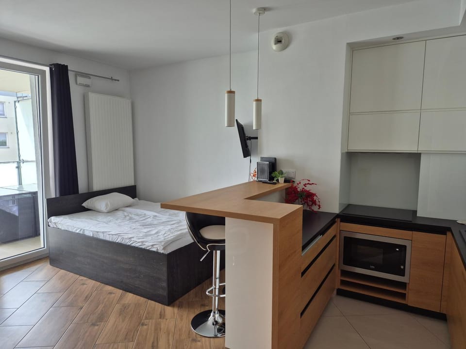 Bed, TV and multimedia, Kitchen or kitchenette, Living room, Photo of the whole room, Seating area, Bedroom