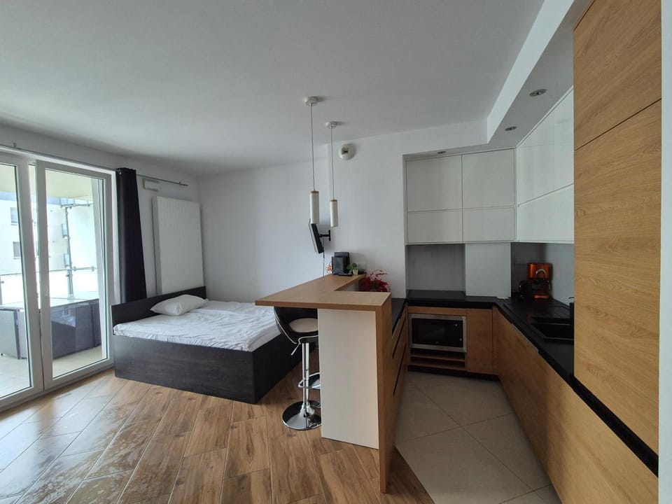 Bed, TV and multimedia, Kitchen or kitchenette, Photo of the whole room, Bedroom, minibar, oven, stove