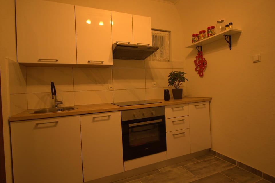 Kitchen or kitchenette, dishwasher, minibar, pet friendly, stove