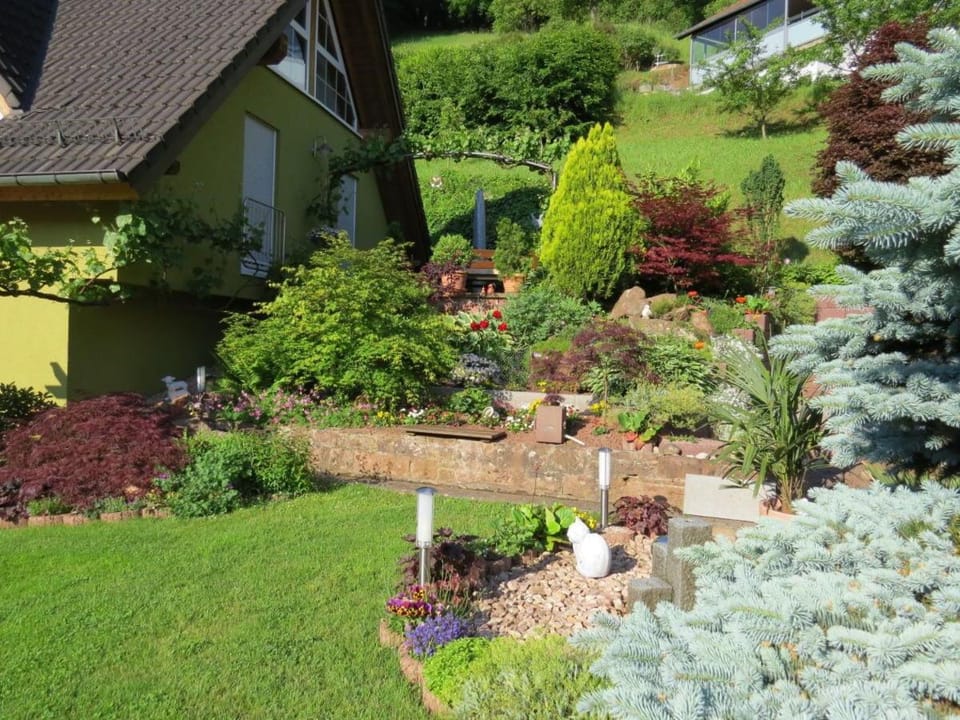 Spring, Garden, Garden view