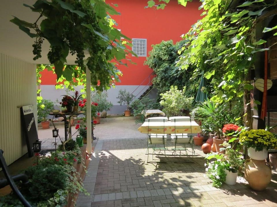 Patio, Day, Garden view