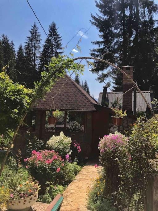 Weekend house Grahovača Villa in Montenegro