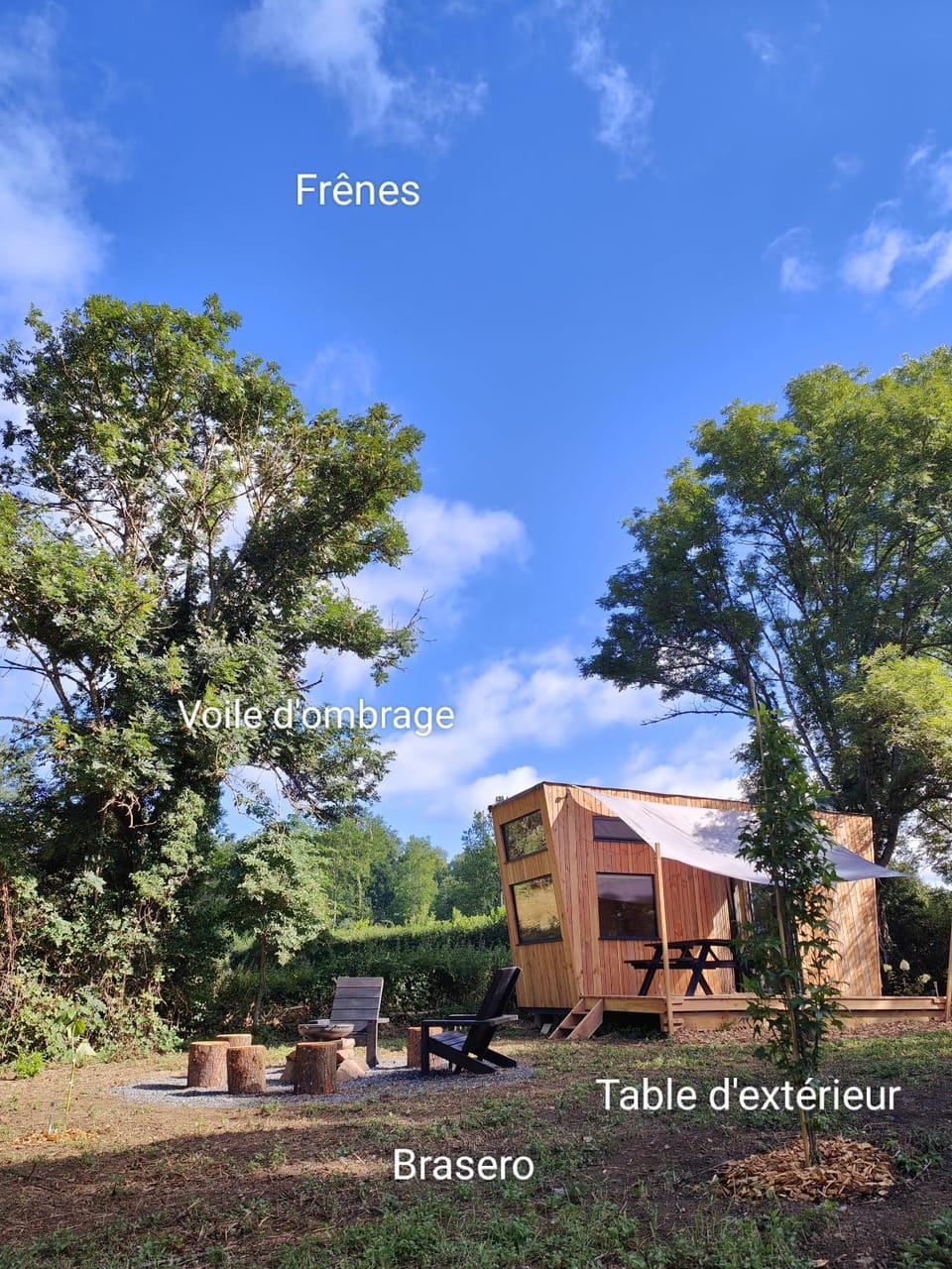 Natural landscape, Garden, Garden view