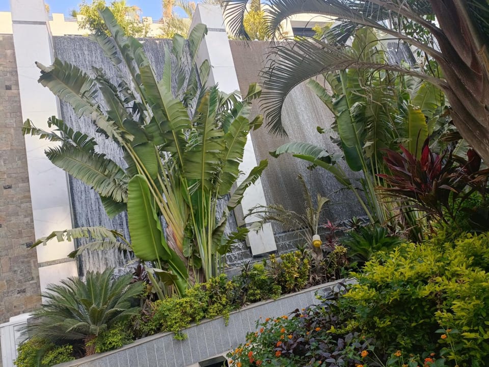 Day, Garden