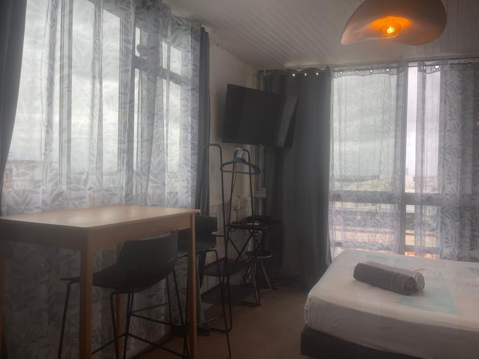 PENTHOUSE SEASIDE 10 MIN port, croisière et aéroport Apartment in Les Abymes