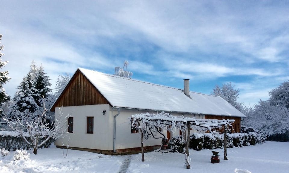Property building, Day, Winter, Garden