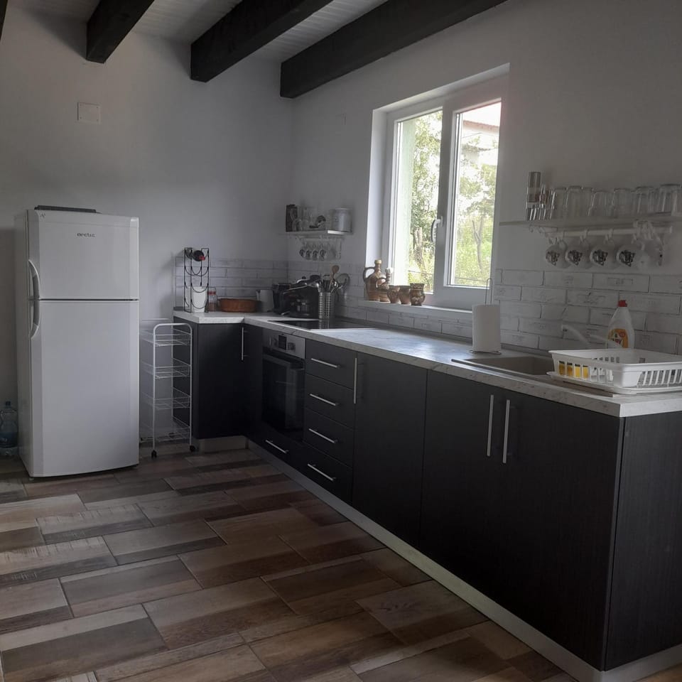 Casa Davina House in Serbia