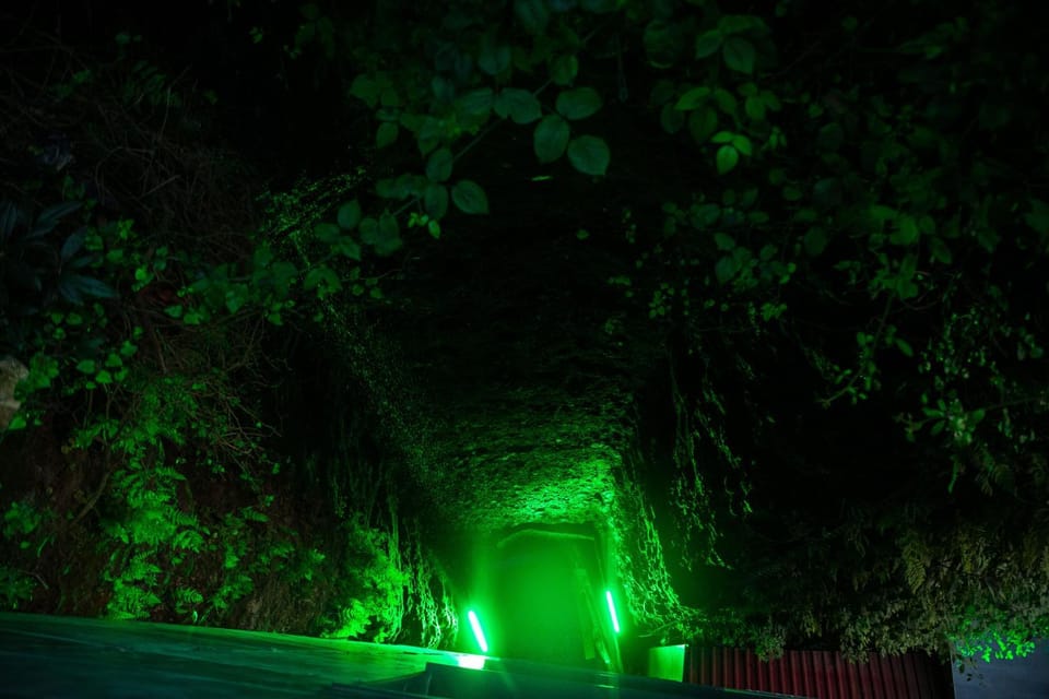 Night, Natural landscape