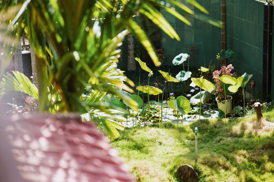 Spring, Day, Garden, Garden, Garden view
