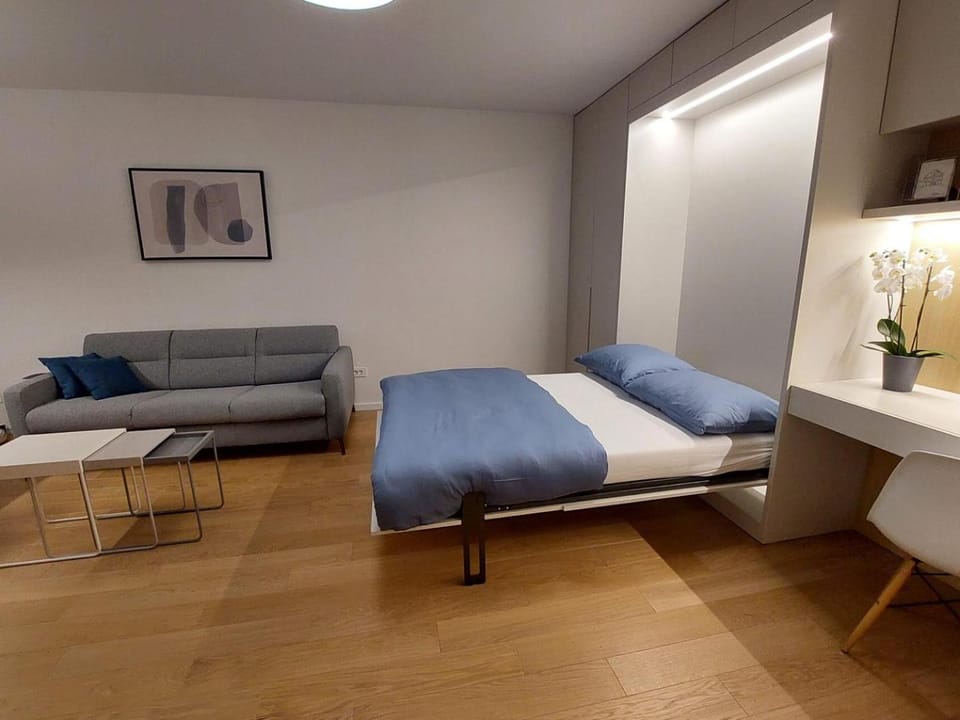 Bed, Living room, Photo of the whole room, Seating area, Bedroom