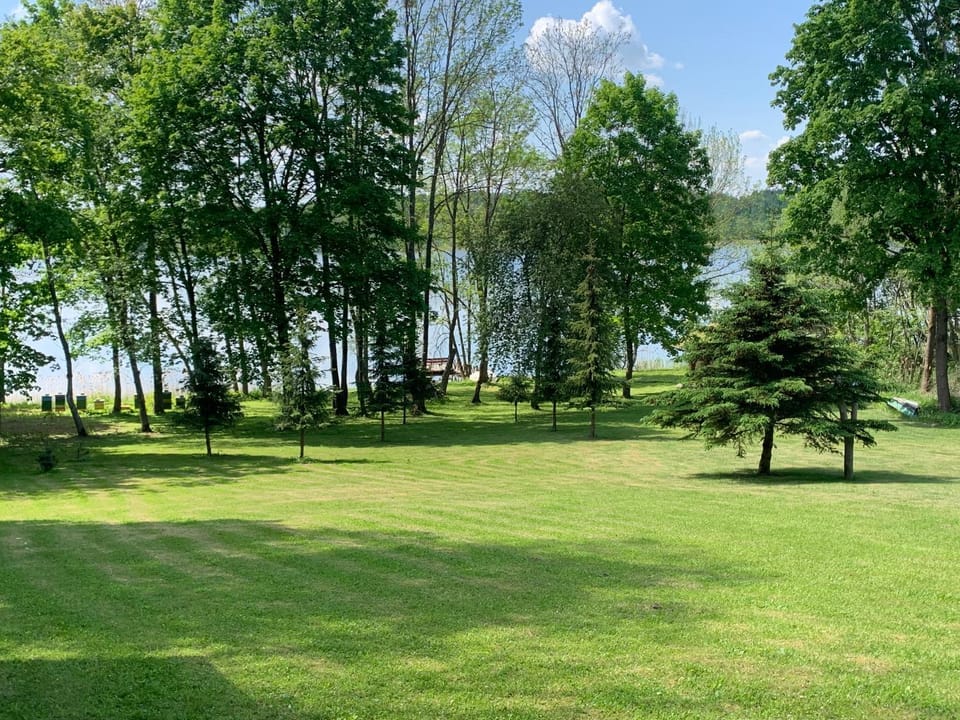 Lake view