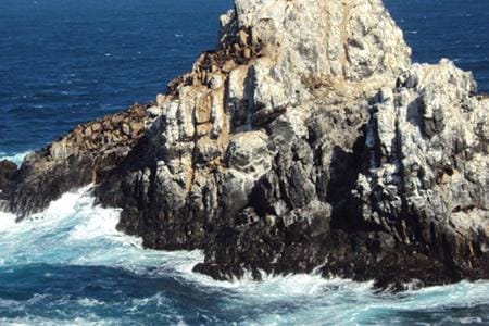 Cabañas Los Molles Nature lodge in Coquimbo Region