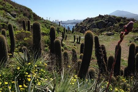 Cabañas Los Molles Nature lodge in Coquimbo Region