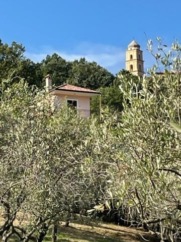 Pink House House in Campania