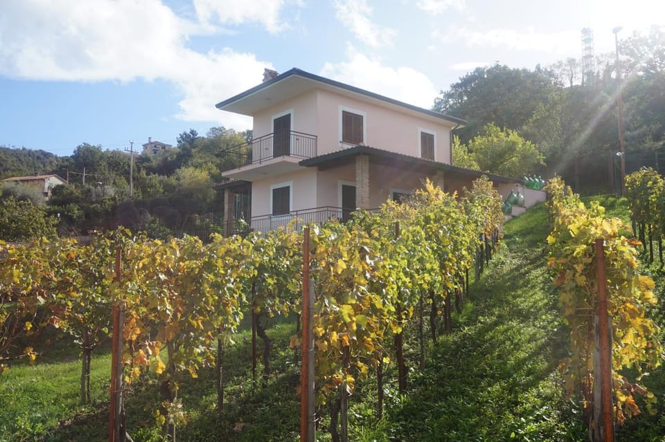 Pink House House in Campania
