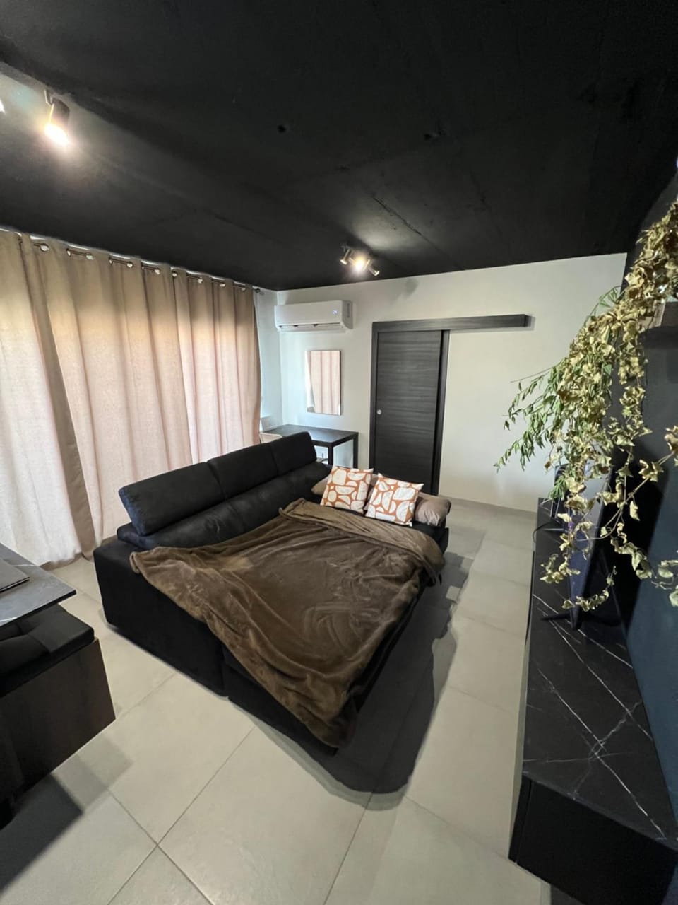 Bed, Living room, Photo of the whole room