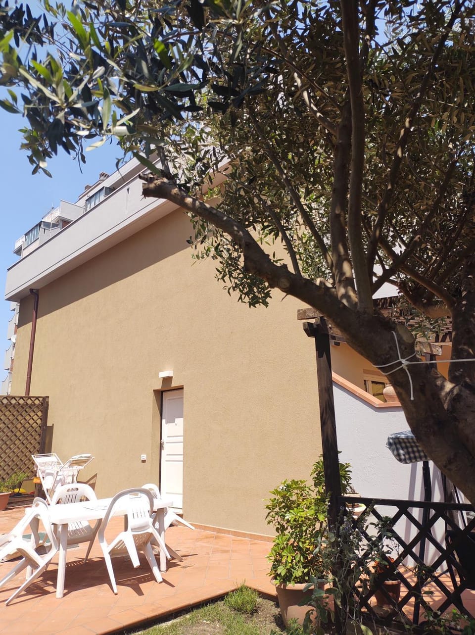 Property building, Garden, Garden view