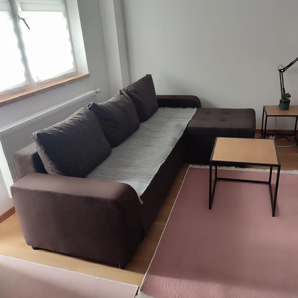 VIOLIN Apartment in Novi Sad