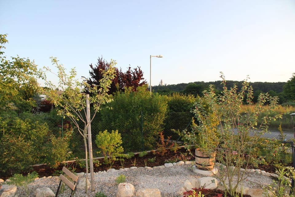 Balcony/Terrace, Garden view