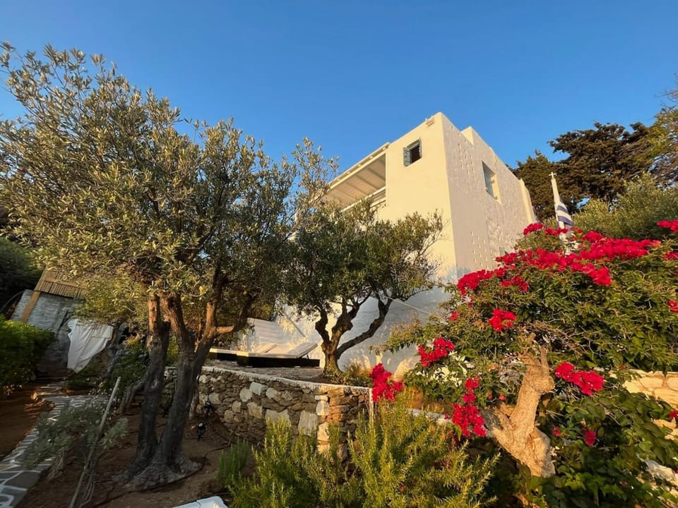 Property building, Garden, Garden view