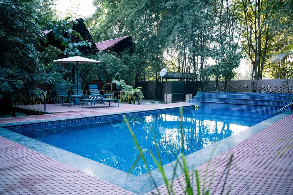 Pool view, Swimming pool
