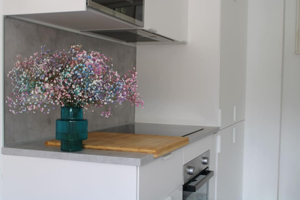 Kitchen or kitchenette, pet friendly, stove