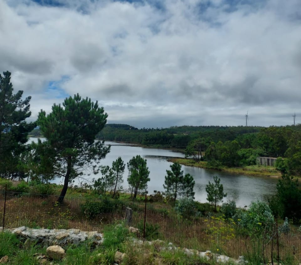Natural landscape