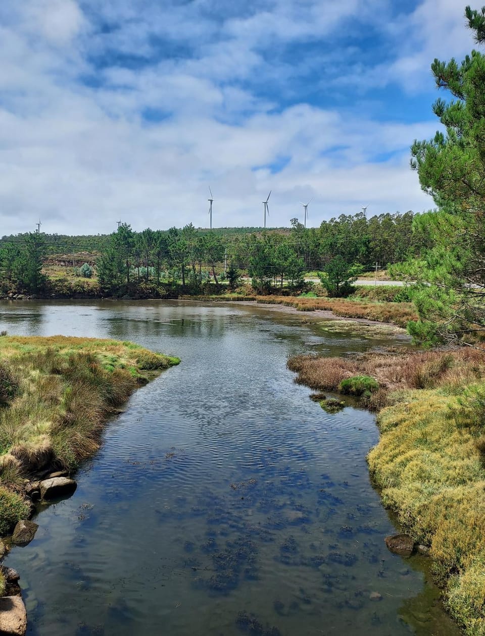 Natural landscape