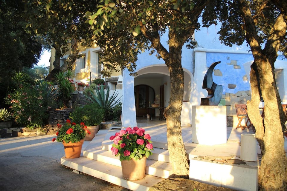 Property building, Garden view