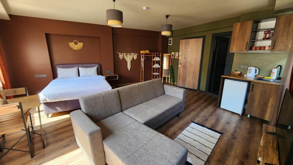Kitchen or kitchenette, Living room, Seating area, Bedroom