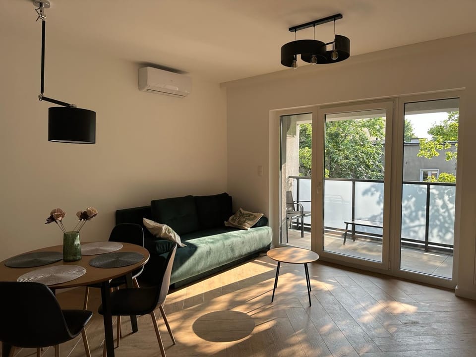 Bed, TV and multimedia, Balcony/Terrace, Living room, Photo of the whole room, Seating area, Dining area, air conditioner