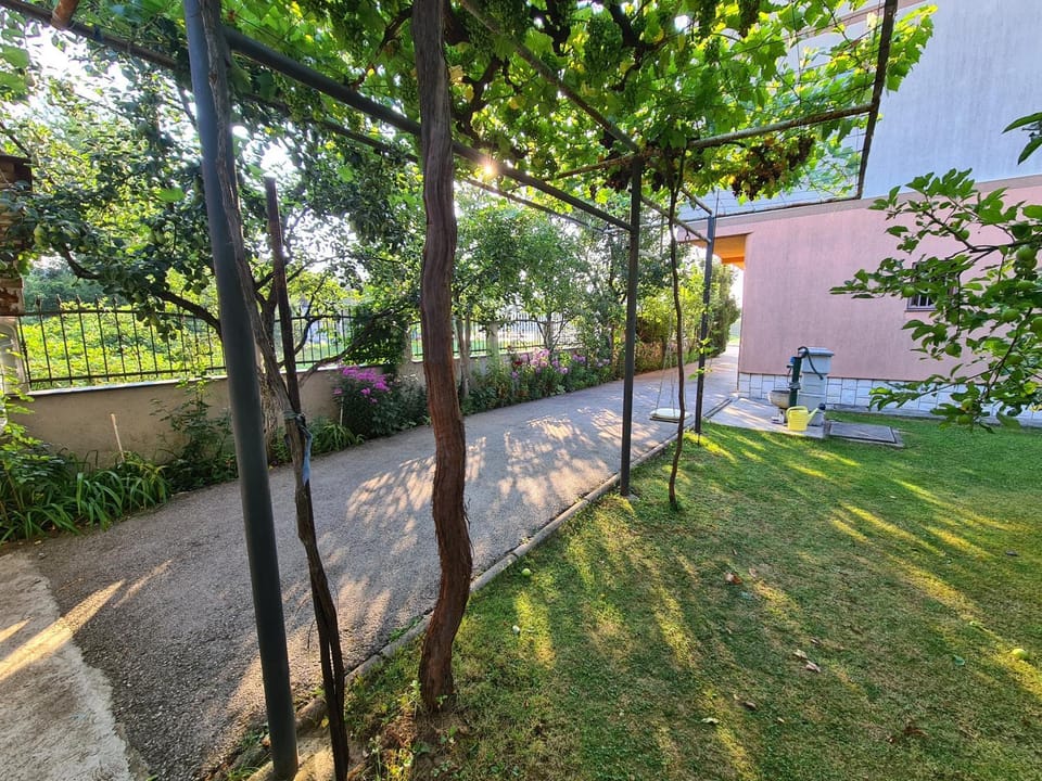 Spring, Day, Natural landscape, Garden, Garden view