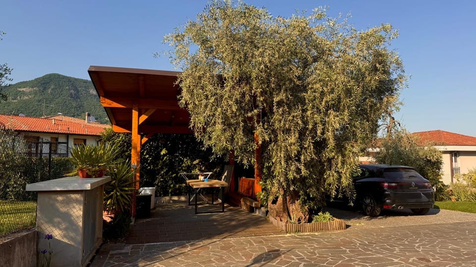 Garden, Mountain view